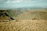 More Steens