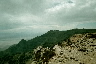 More Steens