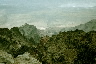 Steens