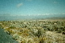 down to Malheur NWR