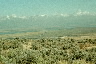down to Malheur NWR
