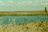 Pelican, Malheur NWR HQ