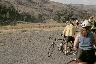 stopping for cows, near Izee