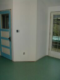 mud room door & back door